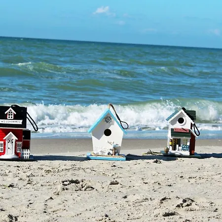 Boddenschnacker דירה *