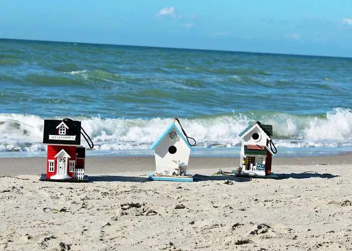 Boddenschnacker Apartamento *