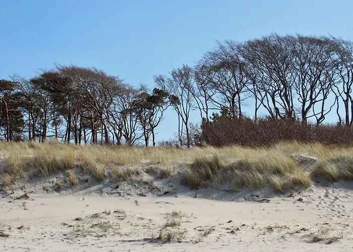 Apartamento Boddenschnacker *